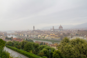 _mg_1345