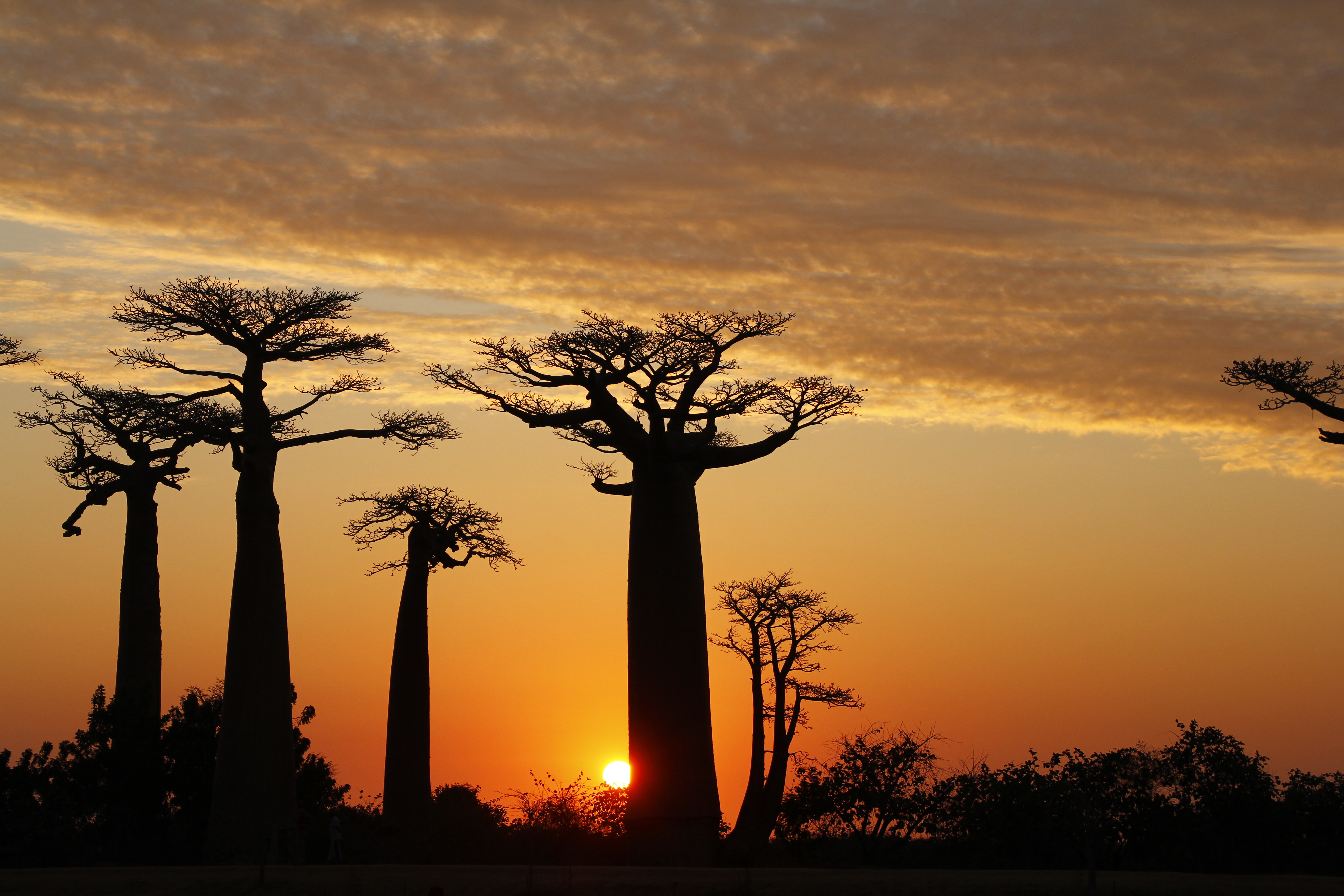 Madagascar – Agosto 2019